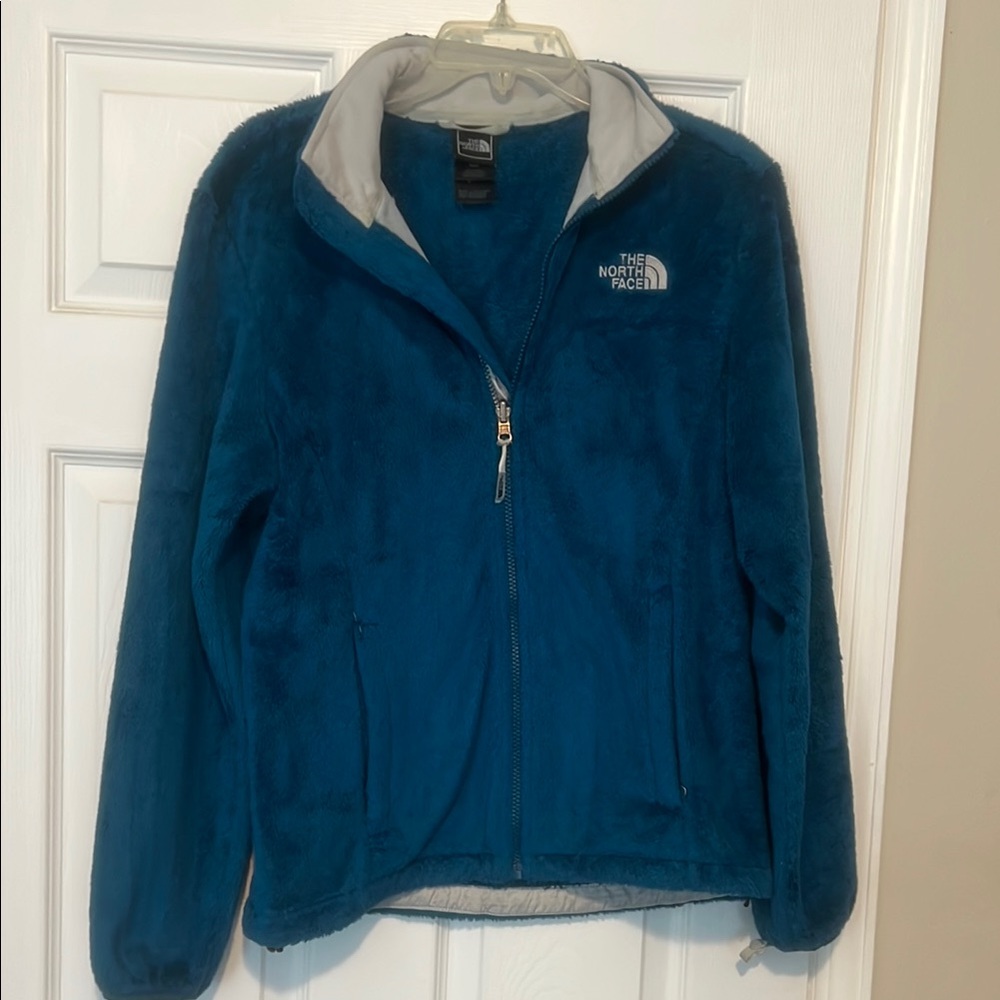 The North Face Vibrant Blue Fleece